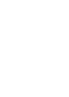 decorative flame graphic